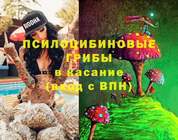прущая мука Касимов