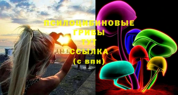 ALPHA PVP Ладушкин